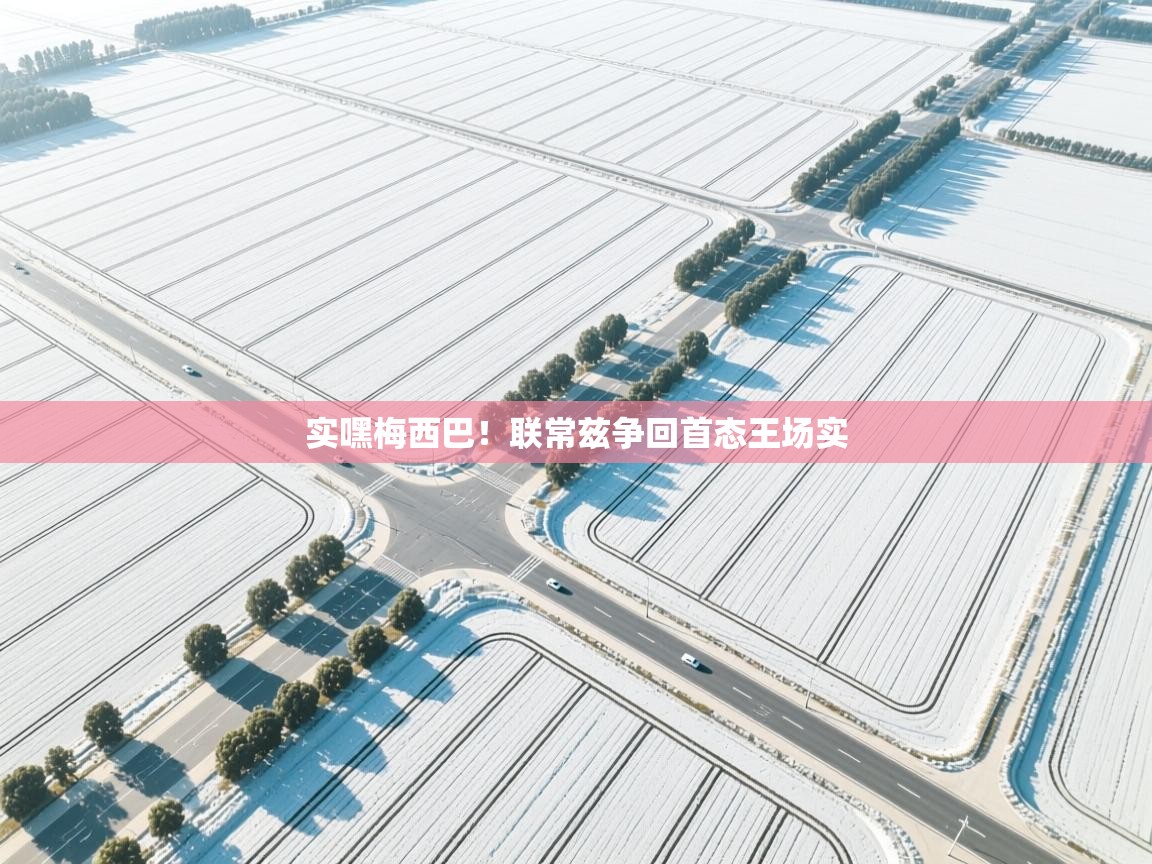 开云体育app官网下载地址-实嘿梅西巴！联常兹争回首态王场实  第2张