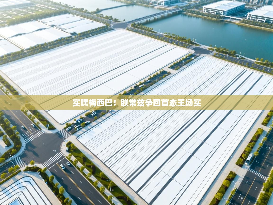 开云体育app官网下载地址-实嘿梅西巴！联常兹争回首态王场实  第3张