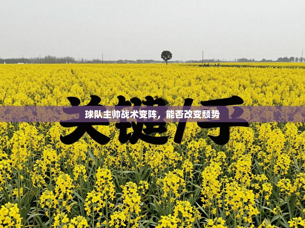 开云体育app-球队主帅战术变阵，能否改变颓势