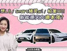 包含不伦瑞克老鹰客场告捷，实力渐露的词条